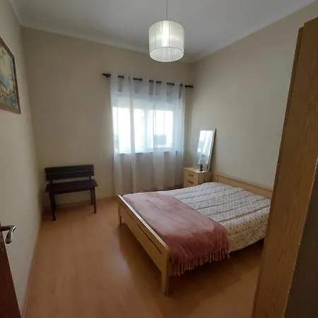 Gaivota Erudita Buarcos